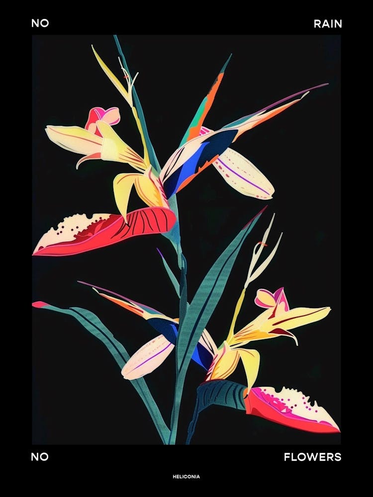 No Rain No Flowers Poster Heliconia 3