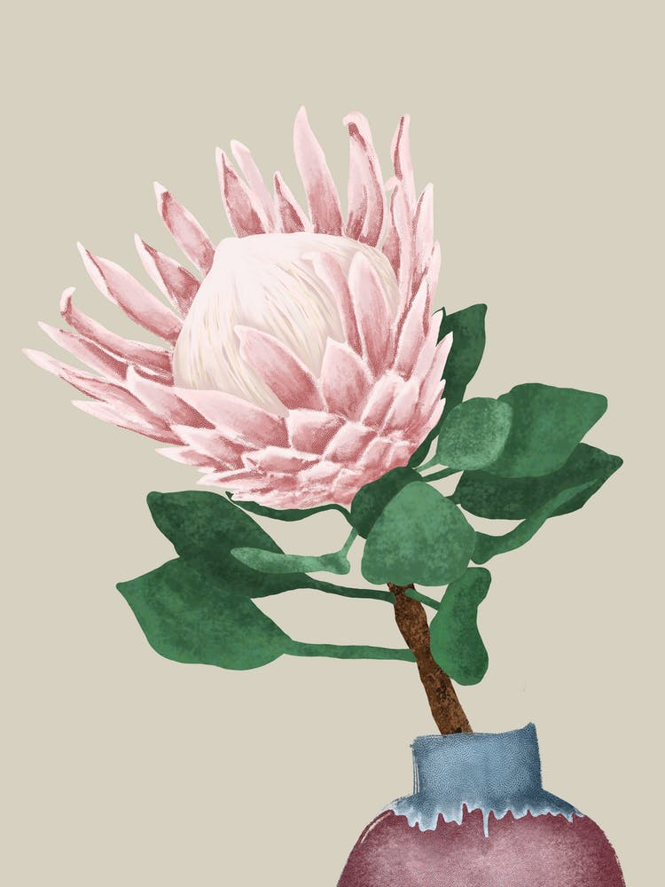 Protée Royale Rose Dans Un Vase en Céramique