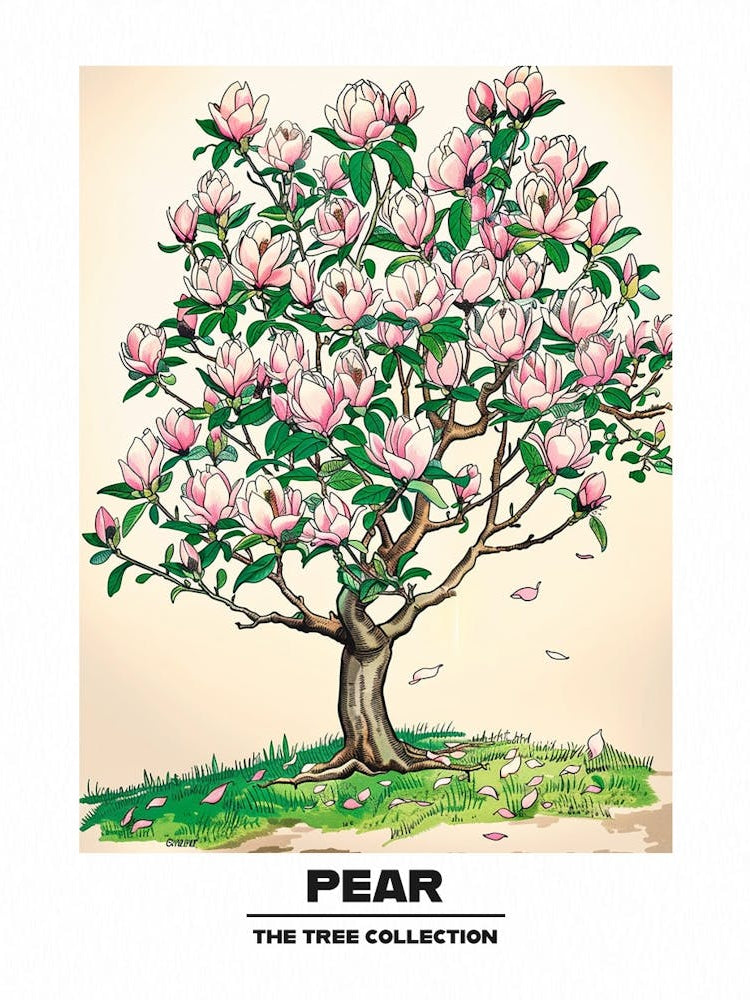 Pear Tree Storybook Illustration 3 Poster