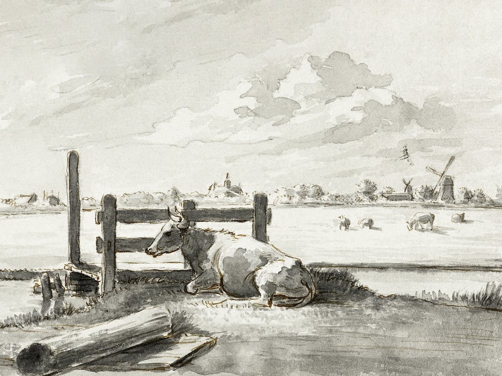 Whey With Lying Cow, Jean Bernard