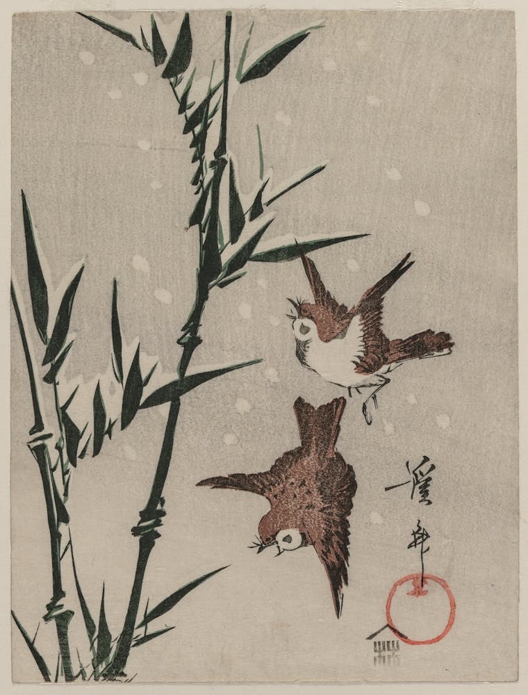 Birds On Bamboo