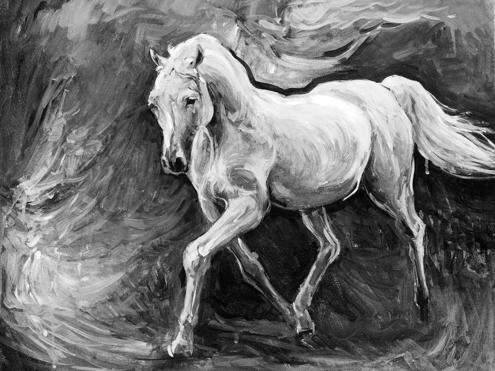 White Horse In Black And White