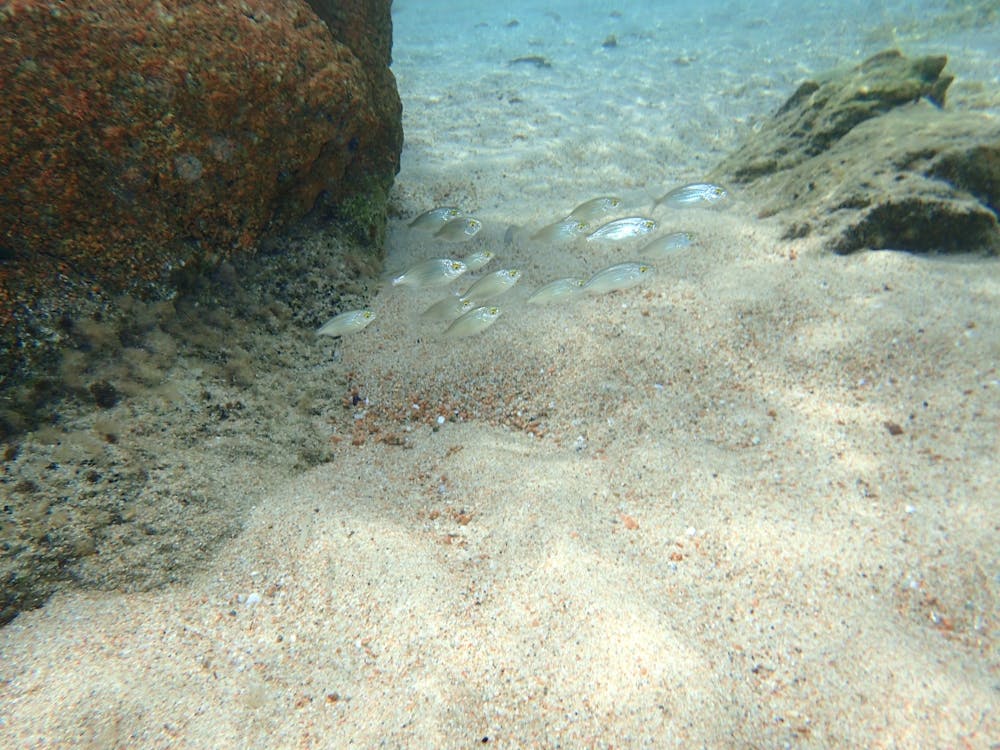 Sand And Rocks