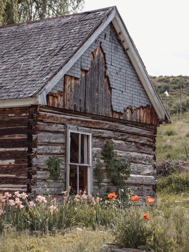 Abandoned Homestead Cabin