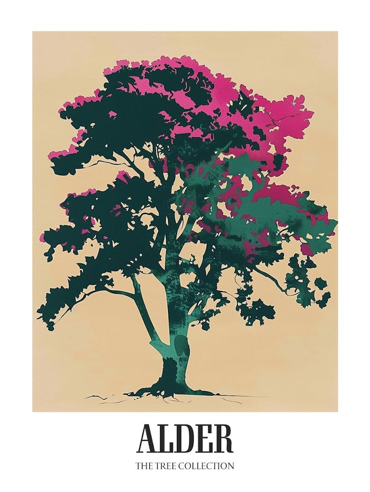 Alder Tree Colourful Illustration 2 Poster