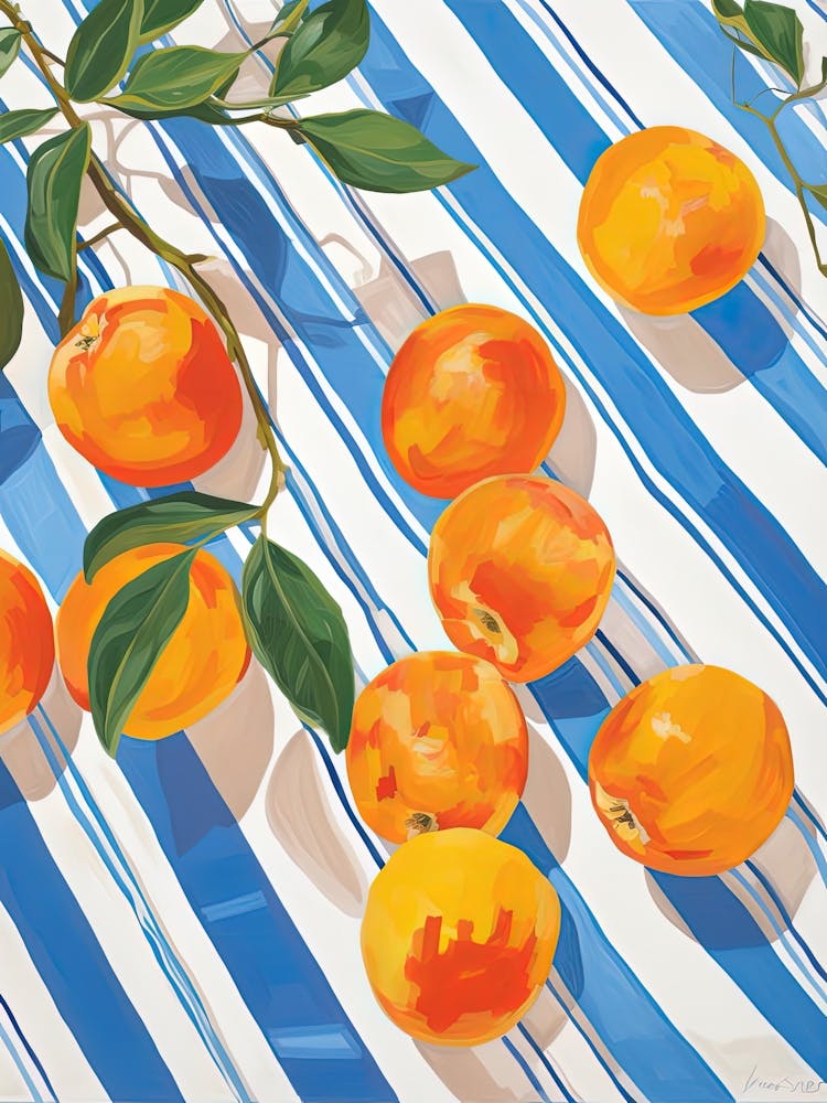 Apricots Fruit Summer Illustration 8