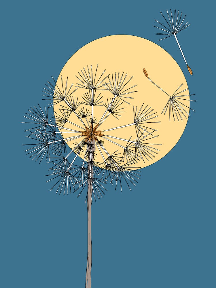 Asian Dandelion