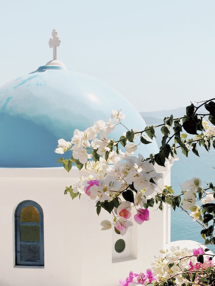 Cathedral And Flowers
