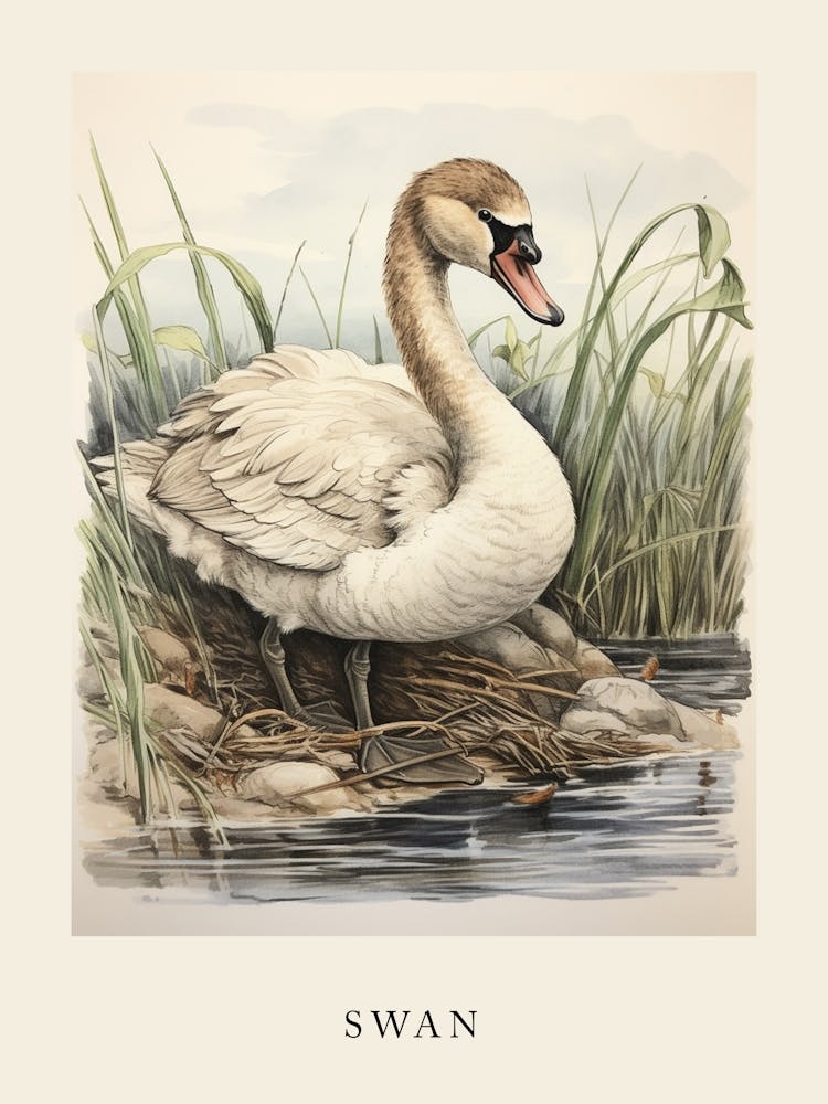 Beatrix Potter Inspired  Animal Watercolour Swan 3
