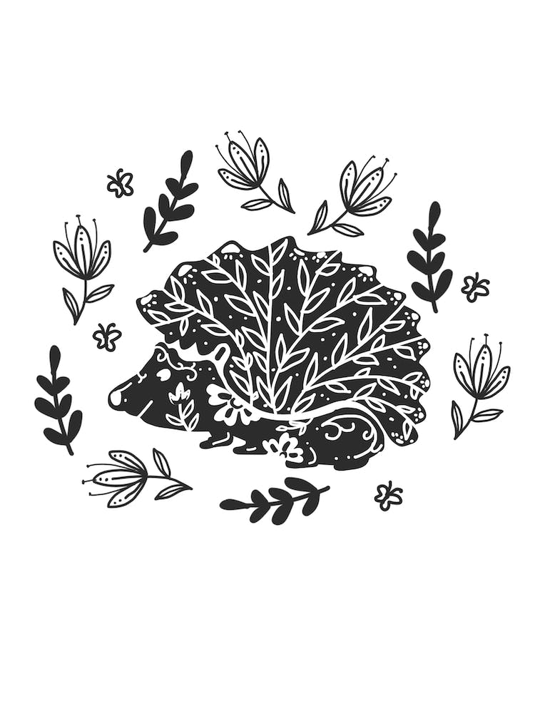Hedgehog In Woods