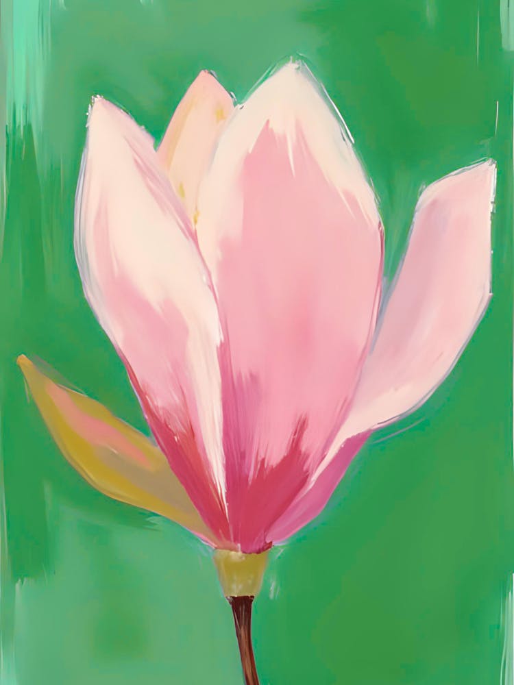 Magnolia 10