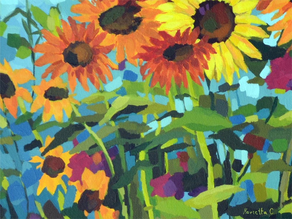 Sunflower Filed Crop2