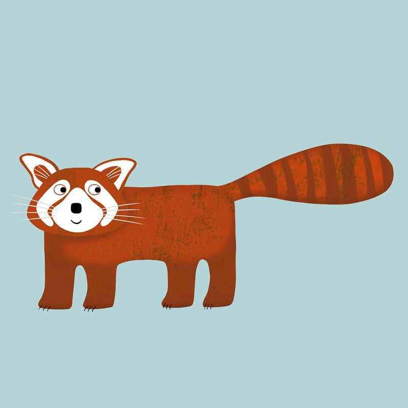 Roter Panda