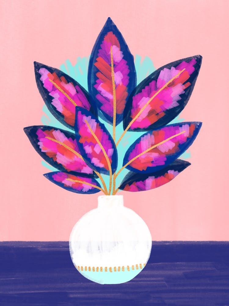 Painted Rubber Plant