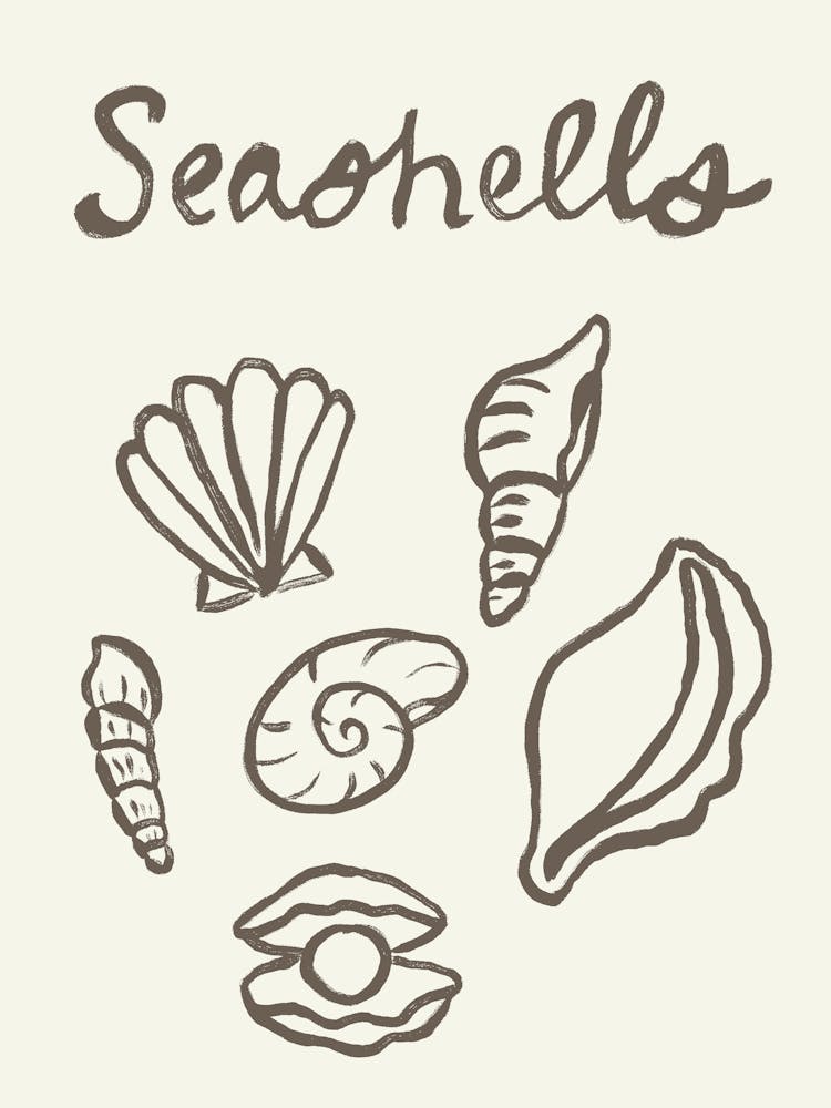 Seashell Doodles, Seashell Line Art, Minimalism Seashell Design 9