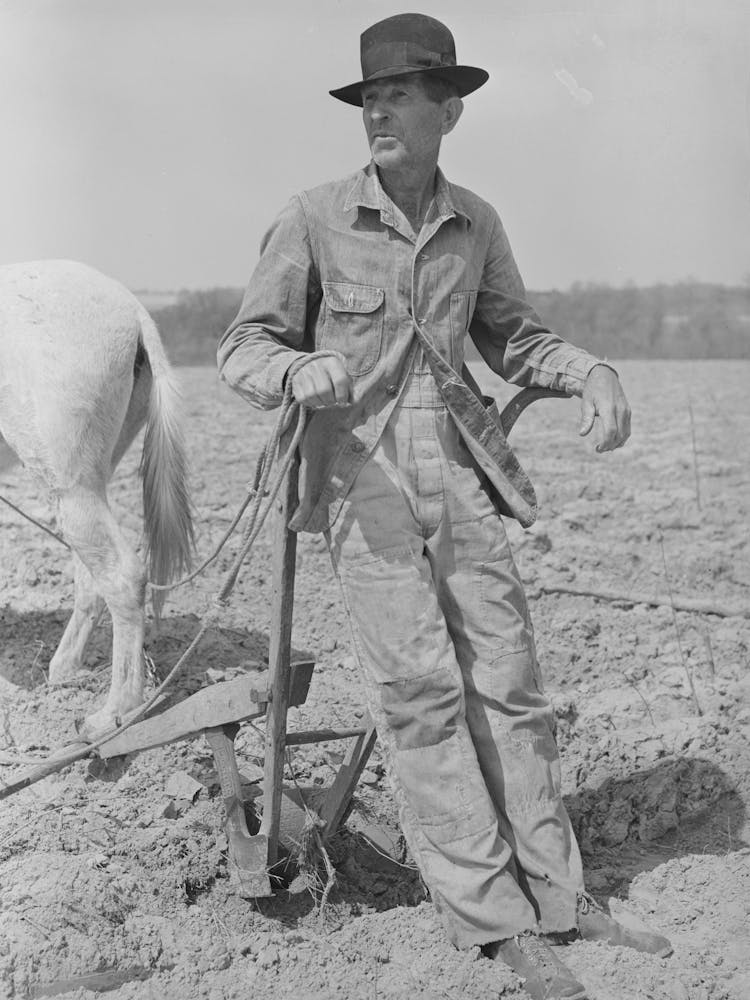 Tenant Farmer On Thirds And Fourths Near Marshall, Texas By Russell Lee