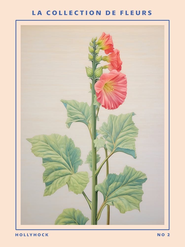 Hollyhock 2 French Flower Botanical Poster