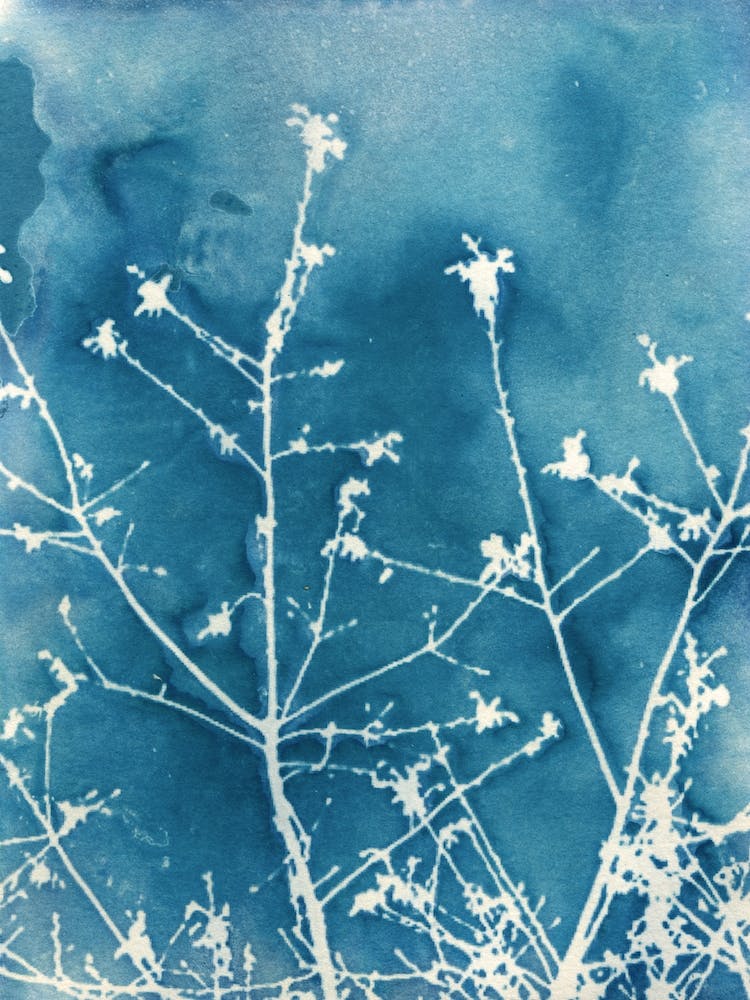 Blue Sparkle