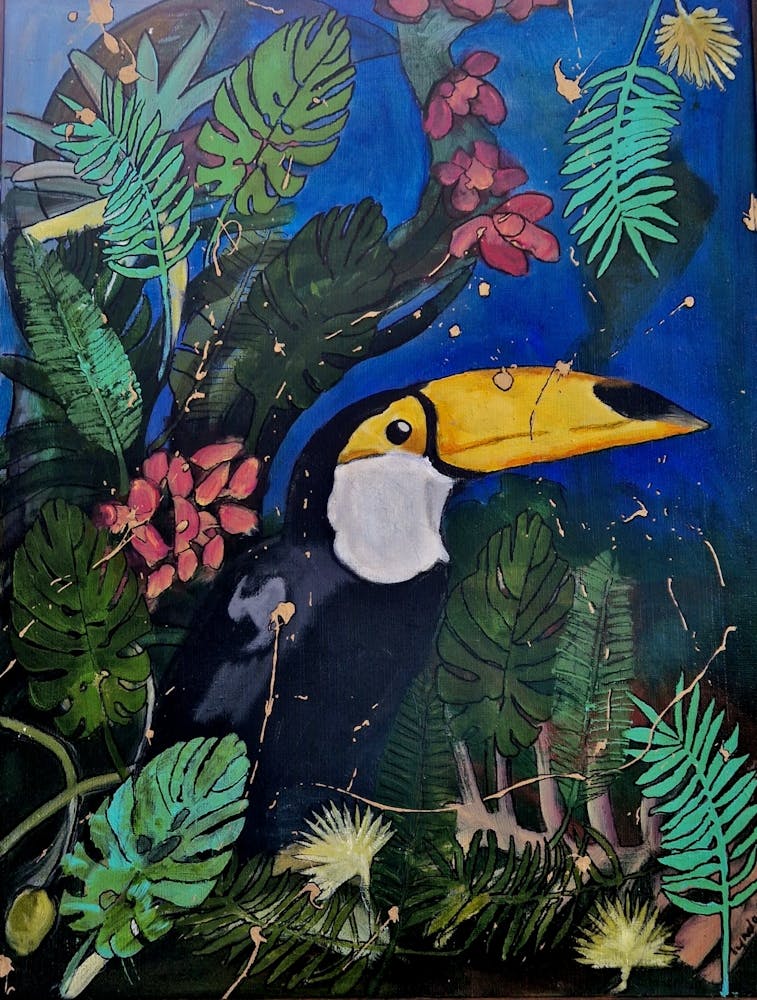 Toucan
