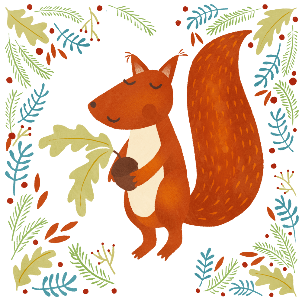 Squirrel In The Forest with Acorn