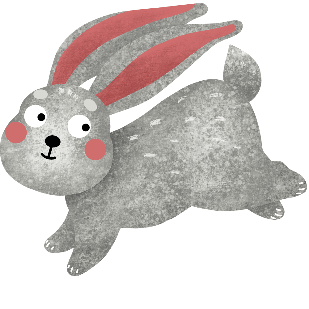 Cute bunny