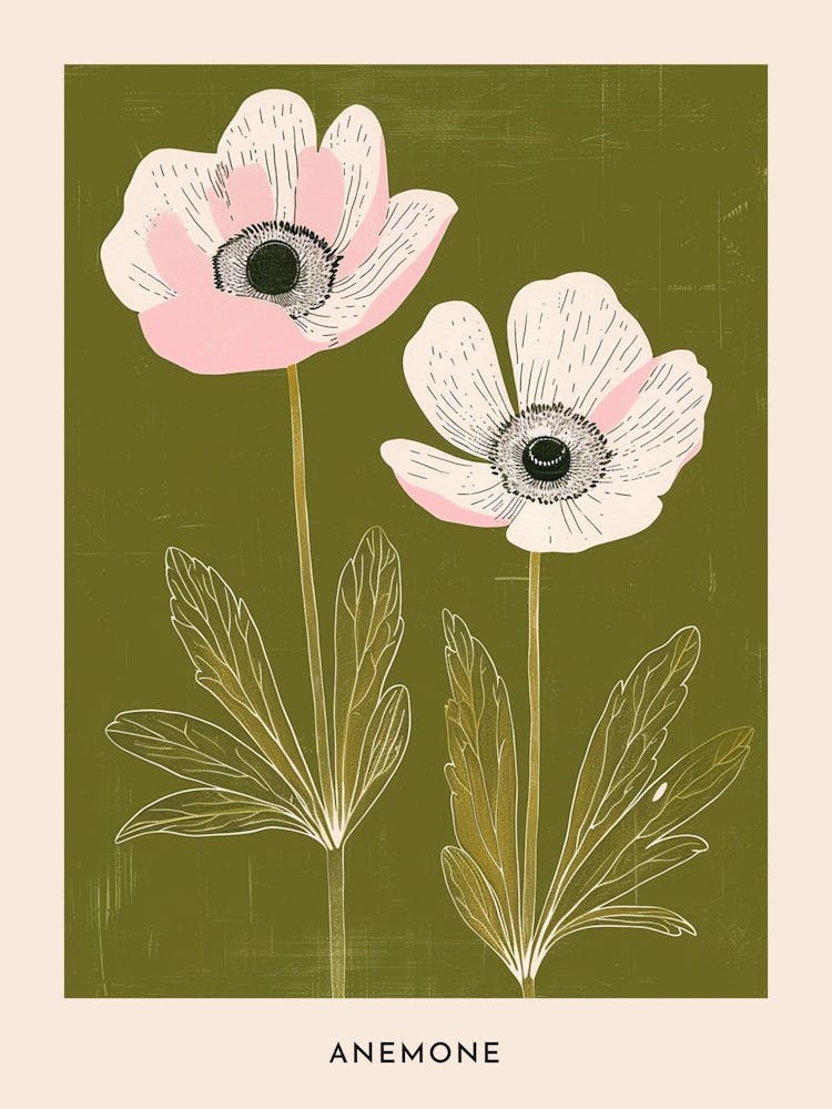 Pink & Green Anemone 2 Flower Poster