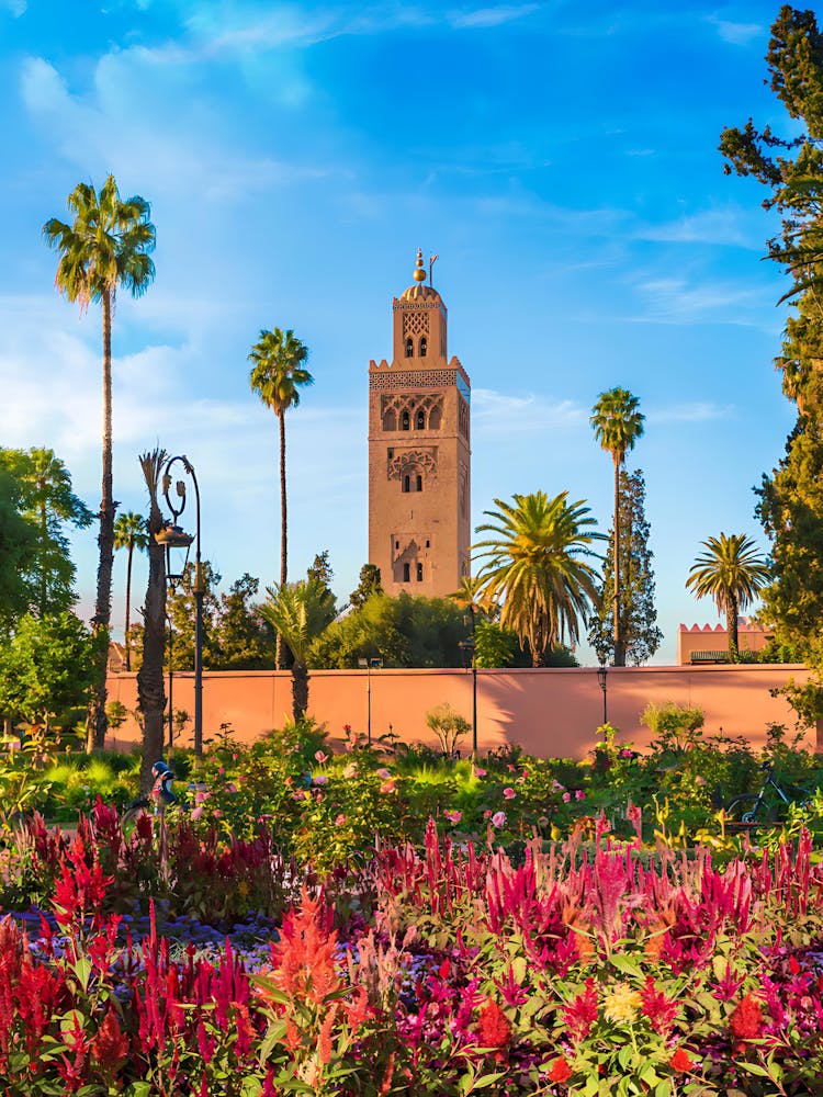 Morocco Stock Videos & Royalty-Free Footage