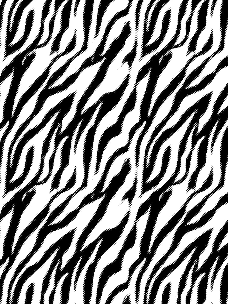 Zebra Stripes 12
