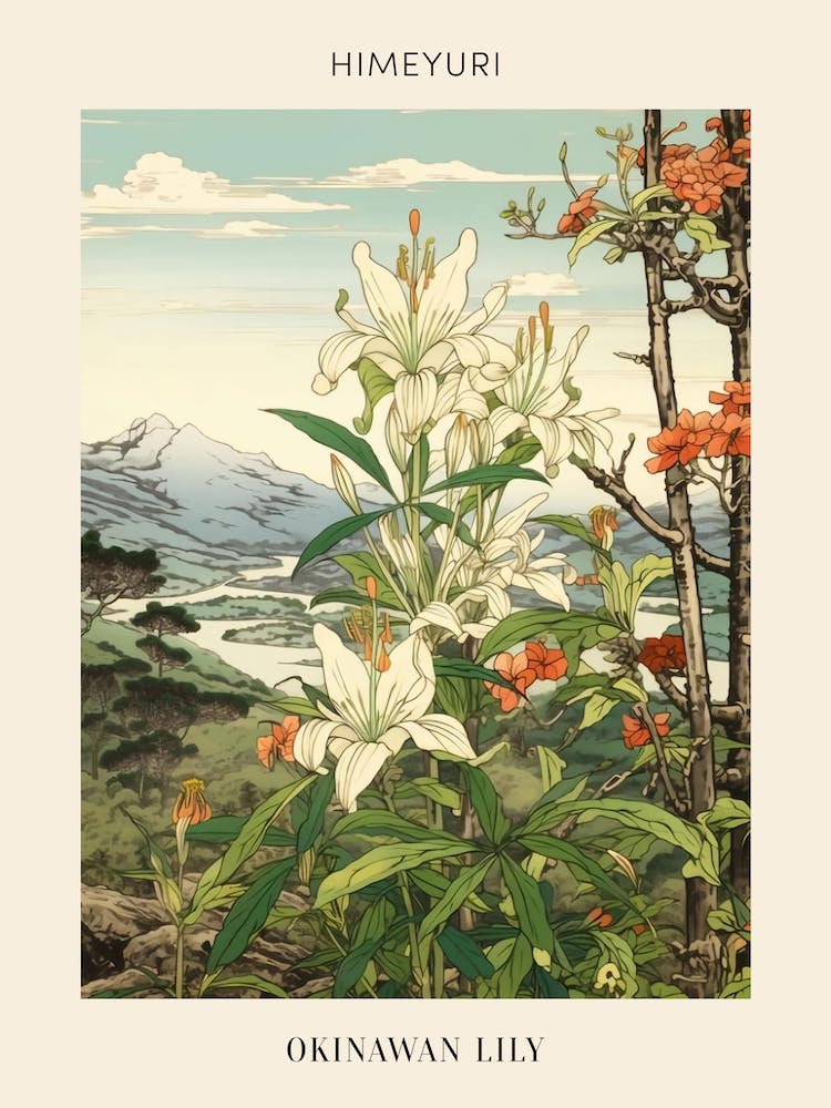 Himeyuri Okinawan Lily 2 Japanese Botanical Illustration Poster