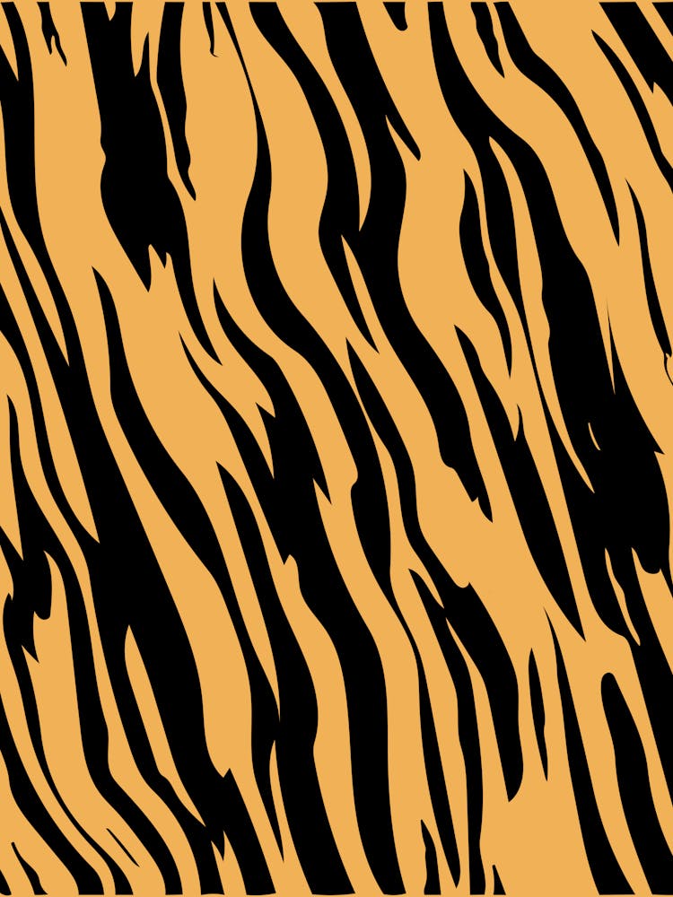 Tiger Stripes 3