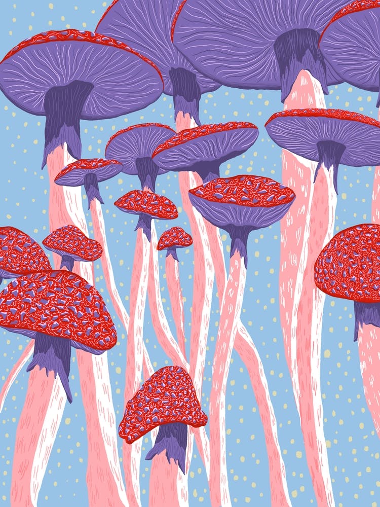 Colourful Mushroom Trippy Illustration