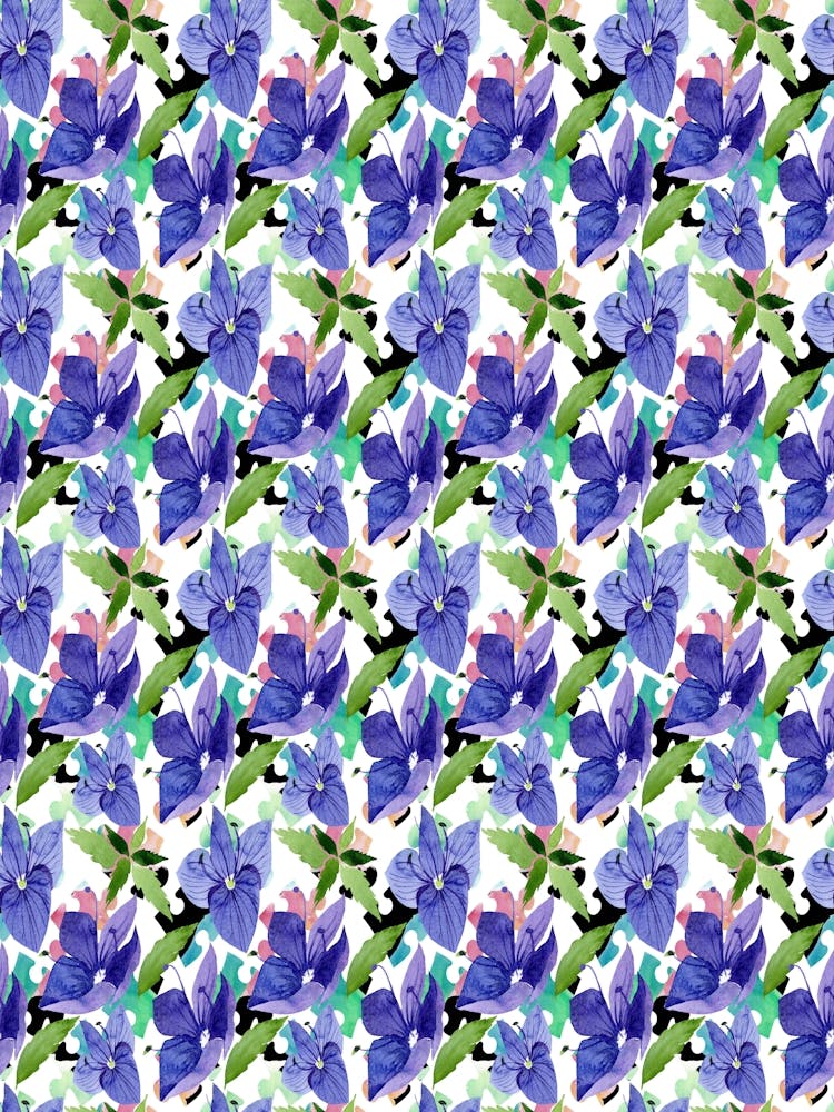 Lily Of The Valley - Veronica blue flower