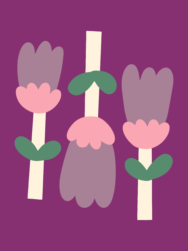 Tulips Three Flowers On Purple Naïf