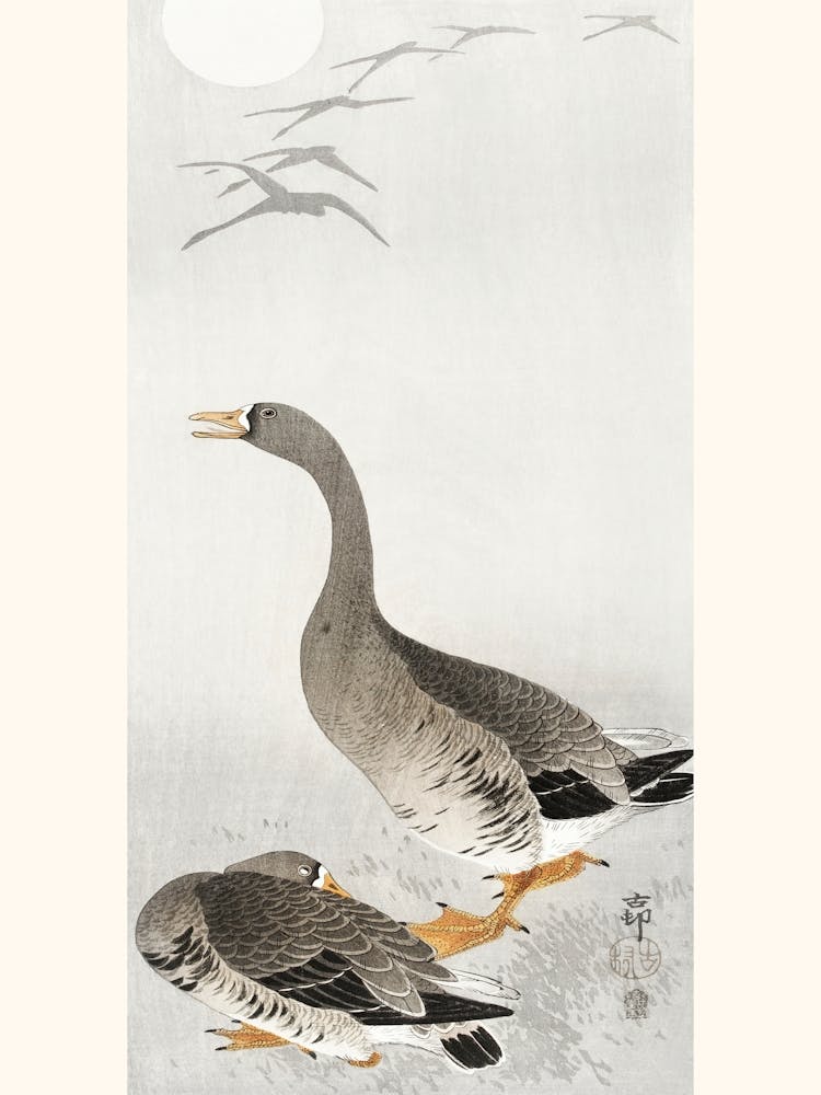 Two Geese (1900 1910), Ohara Koson
