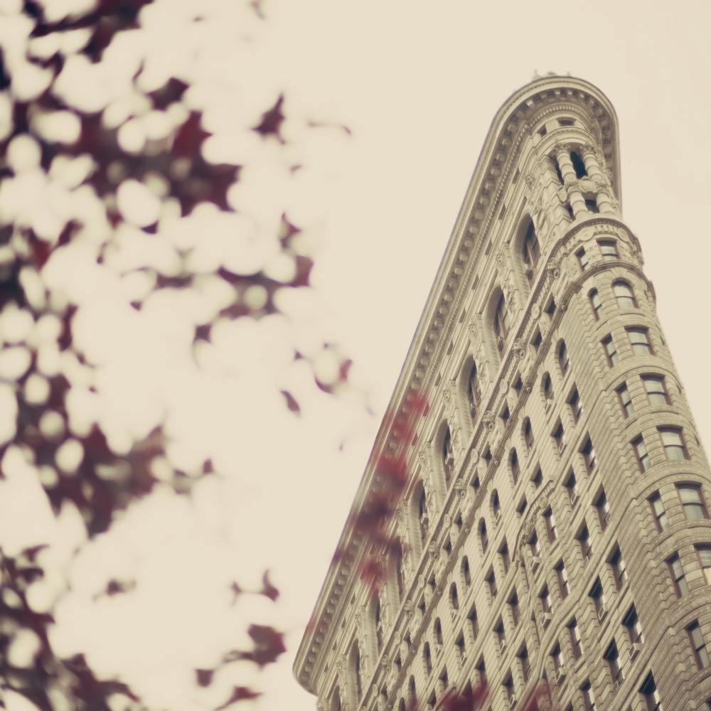 The Flat Iron In The Fall