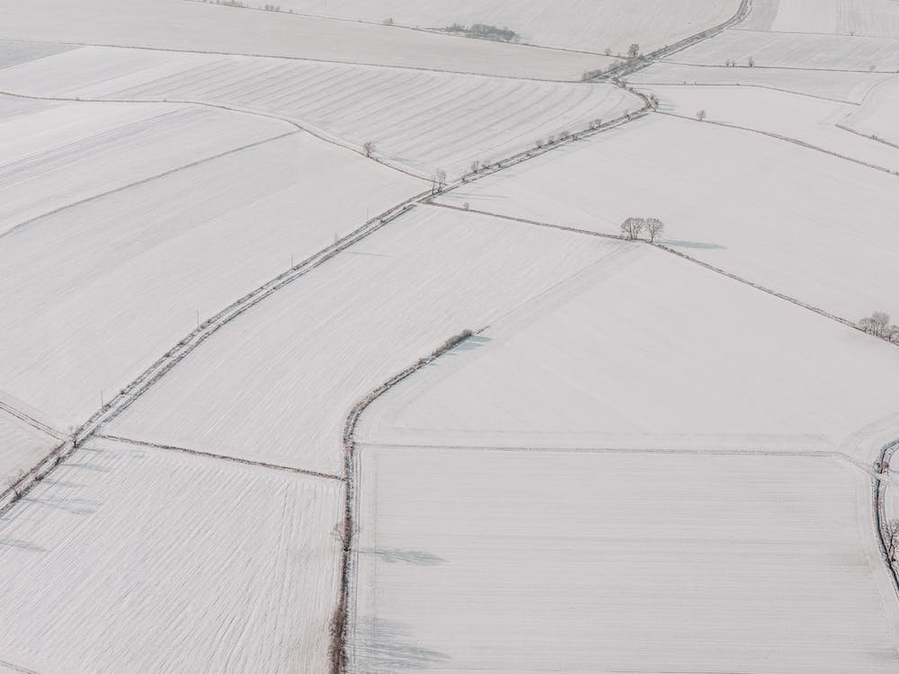 Snow Covered Crop Fields
