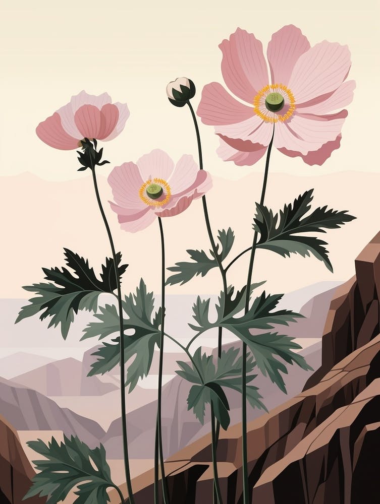 Flower Illustration Anemone 3