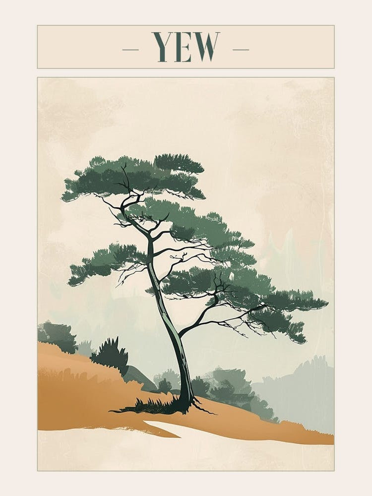Yew Tree Minimal Japandi Illustration 3 Poster