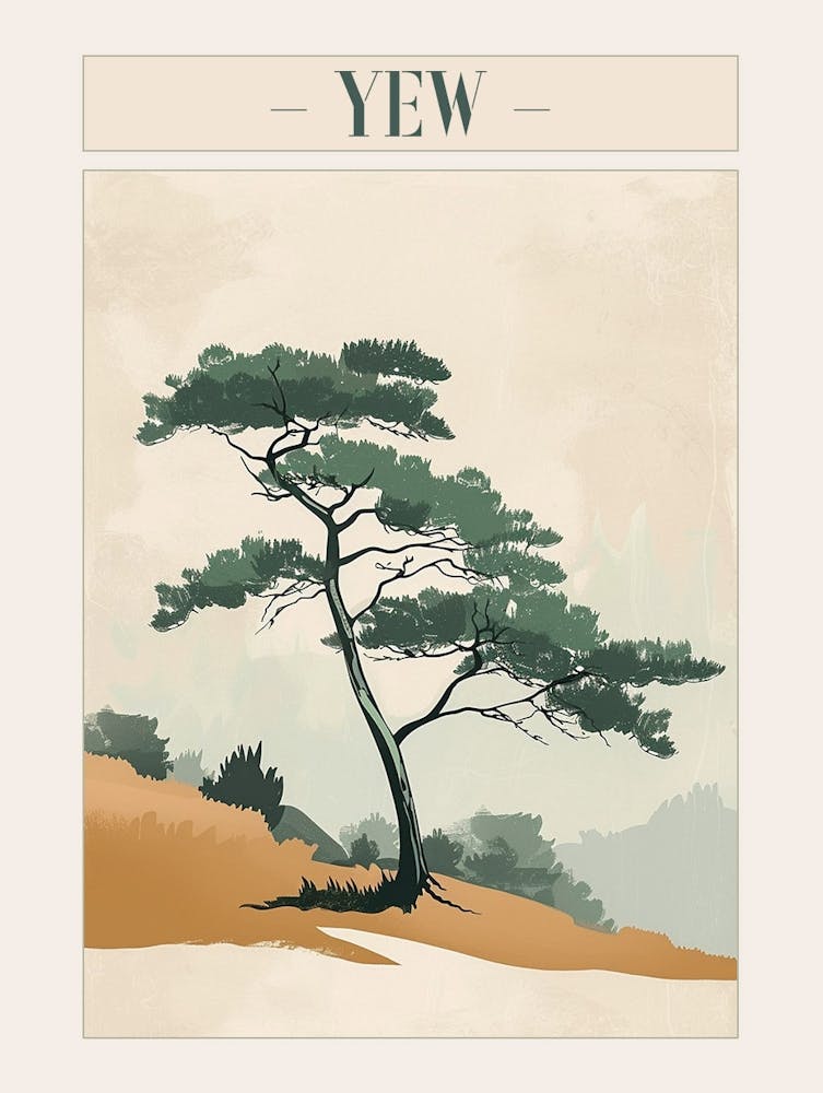 Yew Tree Minimal Japandi Illustration 3 Poster