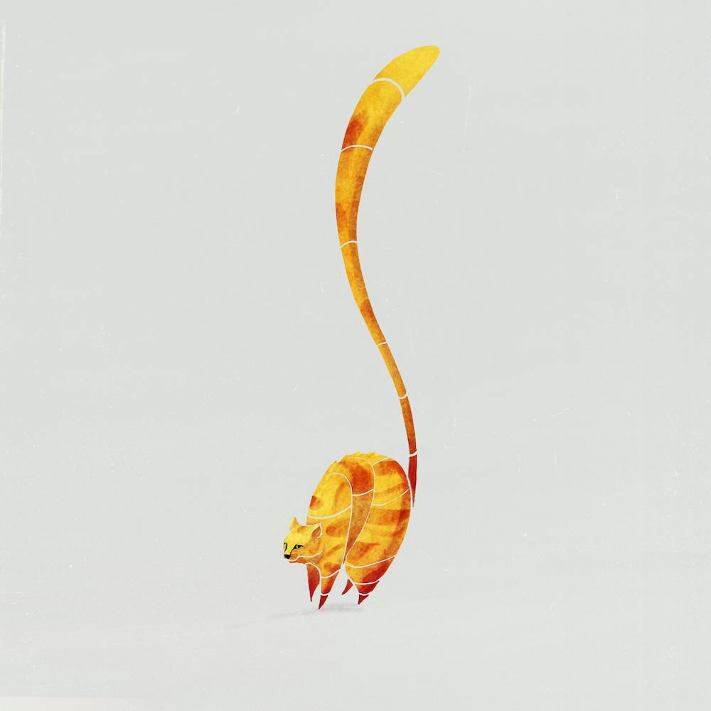 Cat I