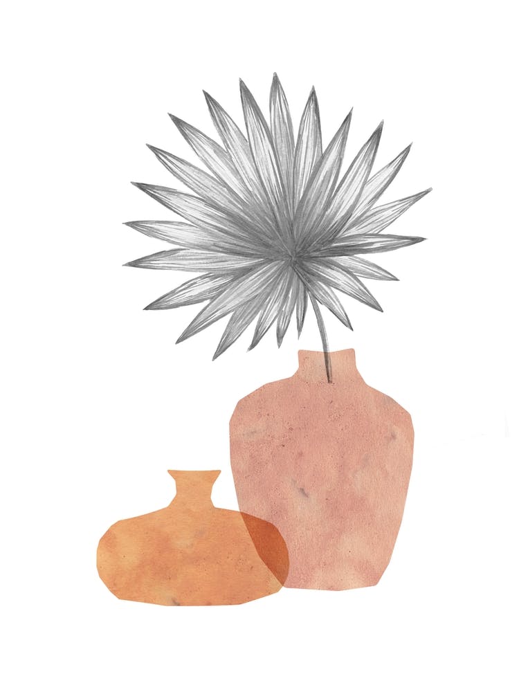 Vases And Plant