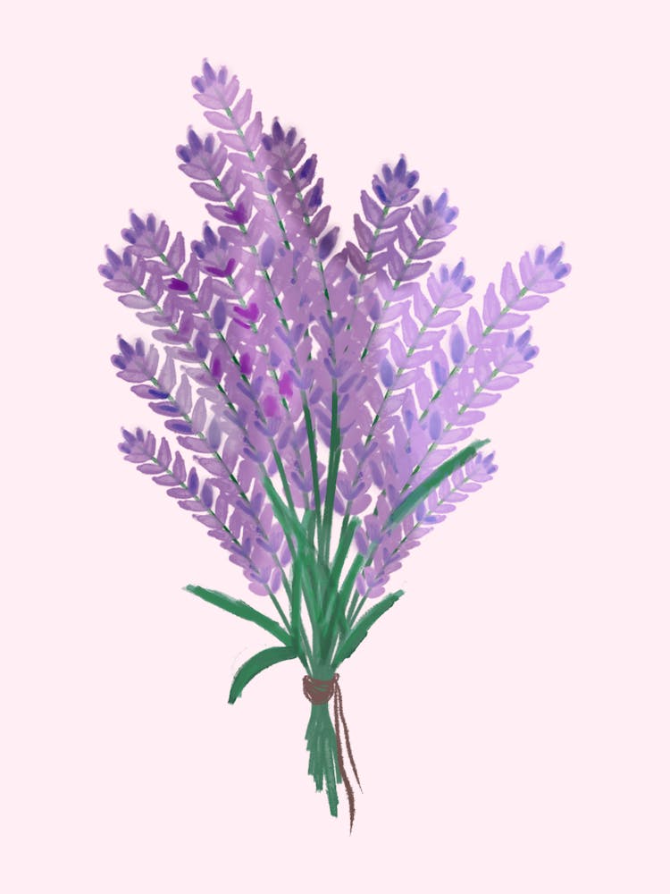 Lavender Bouquet 1
