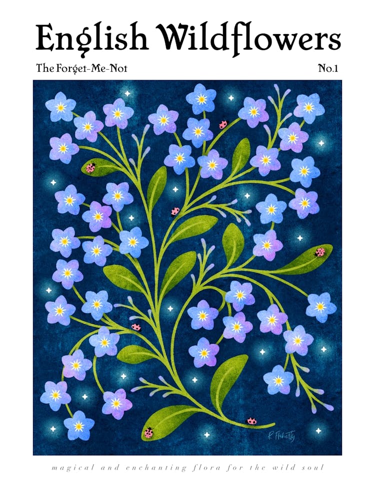 English Wildflowers Forget-Me-Not