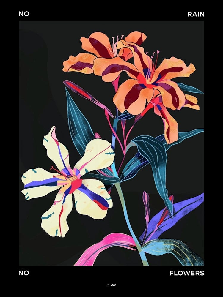 No Rain No Flowers Poster Phlox 2