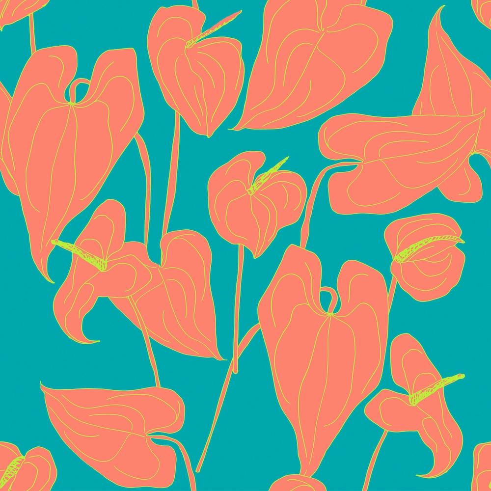 Bright Coloured Anthurium