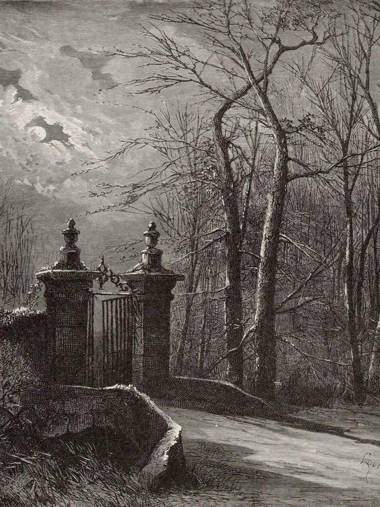 Gate To The Woods