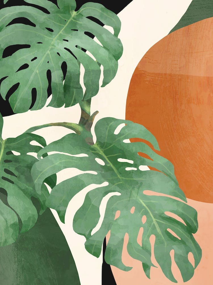 Tropical Monstera Leaves