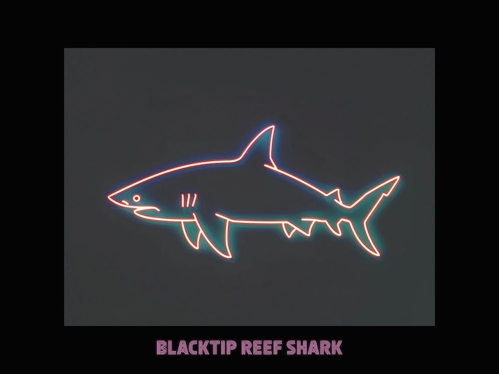 Neon Pink Blacktip Reef Shark Poster 3