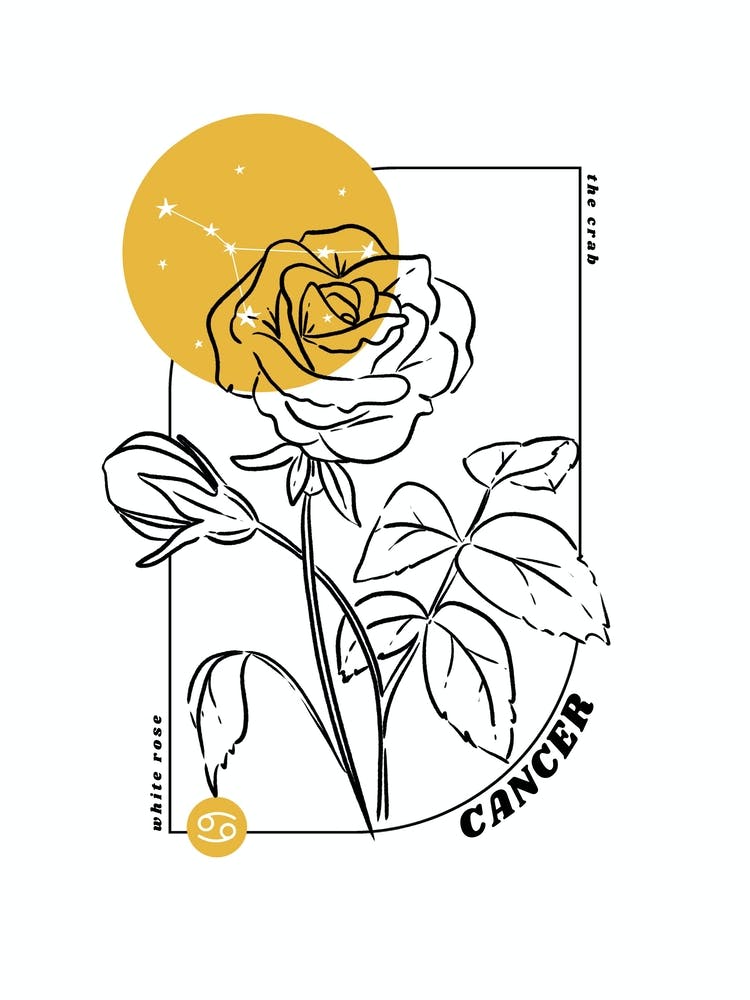 Cancer Birth Flower & Zodiac Sign
