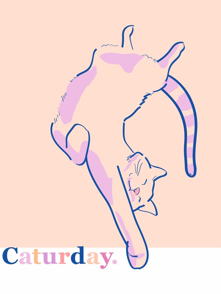 Caturday Purple